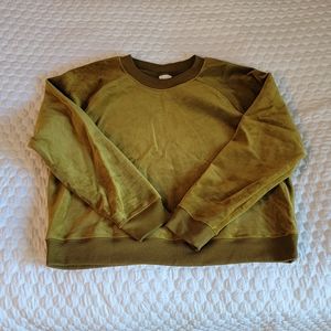 Green velour cropped sweatshirt